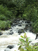 Kipu & Waimea Falls 
