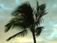 hawaii