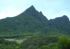 mountains