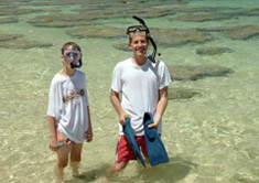 snorkling