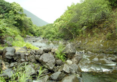 Hawaii