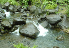 waterfall